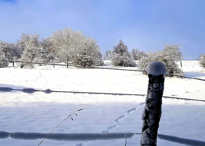 Citynest Und Auszeit - Zwei Ferienwohnungen, Ein Standort - Ideal Fuer Paare Und Familien Mit Kleinkind Apartment