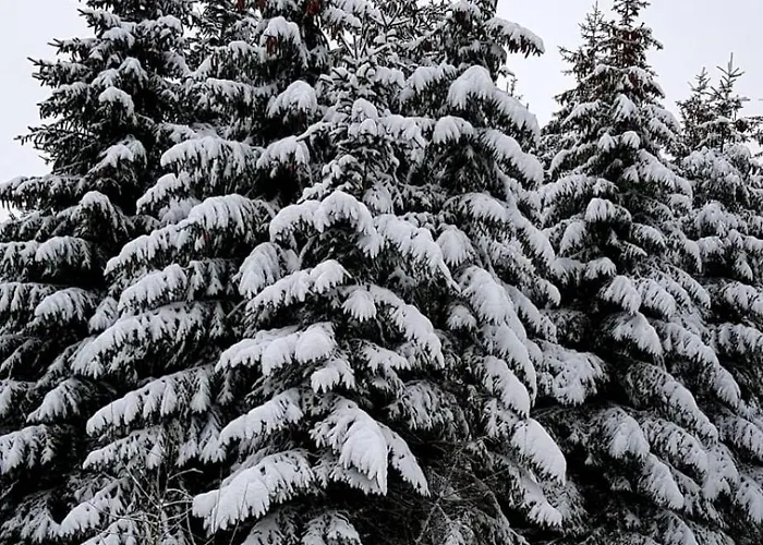 Citynest Und Auszeit - Zwei Ferienwohnungen, Ein Standort - Ideal Fuer Paare Und Familien Mit Kleinkind Apartment