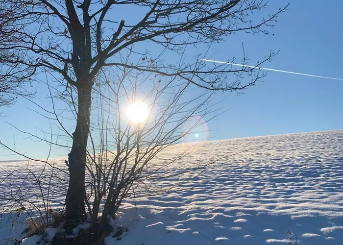 Apartment Citynest Und Auszeit - Zwei Ferienwohnungen, Ein Standort - Ideal Fuer Paare Und Familien Mit Kleinkind