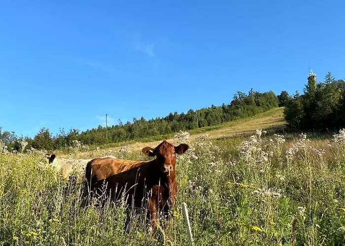 Apartment Citynest Und Auszeit - Zwei Ferienwohnungen, Ein Standort - Ideal Fuer Paare Und Familien Mit Kleinkind